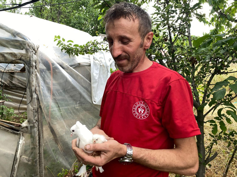 Gümüşhane’de kuluçkaya yatan o canlı, 21 gün sonra çıkan sürprize öyle bir tepki verdi ki... Gören duygulandı - Resim: 3