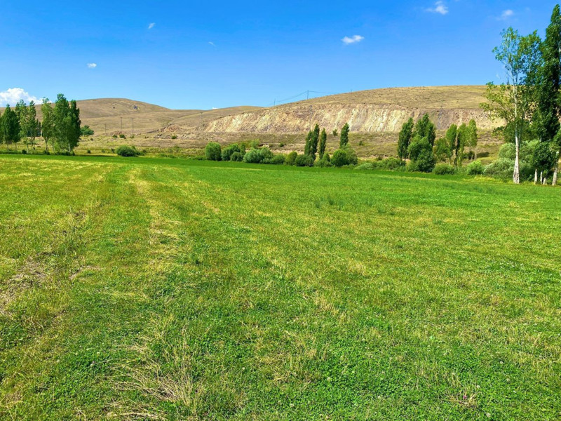 Bayburt’ta yem bitkisi üretimi sahada kontrol ediliyor, ekipler köy köy geziyor - Resim: 1