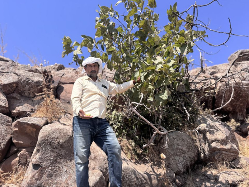 Zeynep'in kayalıklardan düşüp öldüğü iddia edilmişti! Babası ilk kez konuştu! O gün neler yaşandı? - Resim: 2