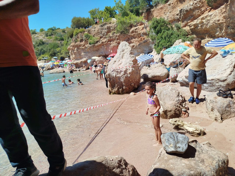 Muğla’nın Datça ilçesinde sahile çıkan canlıyı görenler yaklaşamadı, ekipler güvenlik şeridi çekti - Resim: 1