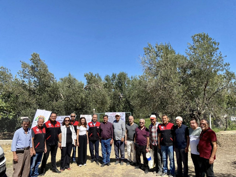 Balıkesir Havran’da zeytinliklerde kurulan özel tuzaklarla harekete geçildi, üreticiler için kritik süreç başladı - Resim: 2