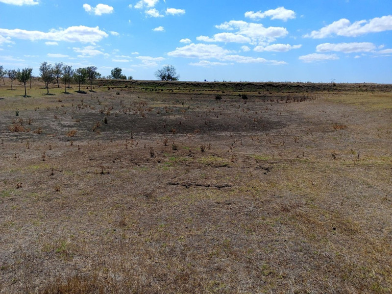 Tekirdağ Muratlı’da kuraklık tarımı vurdu, Ballıhoca’daki sulama göleti tamamen kurudu - Resim: 3