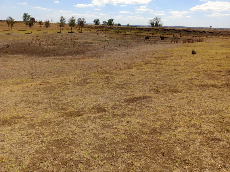 Tekirdağ Muratlı’da kuraklık tarımı vurdu, Ballıhoca’daki sulama göleti tamamen kurudu - Resim: 1