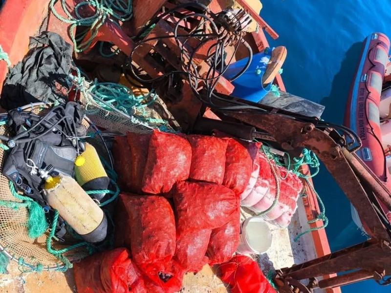 Aydın'da kaçak avcılara ceza yağdı! 600 kilogram deniz mahsulü suya bırakıldı! - Resim: 3