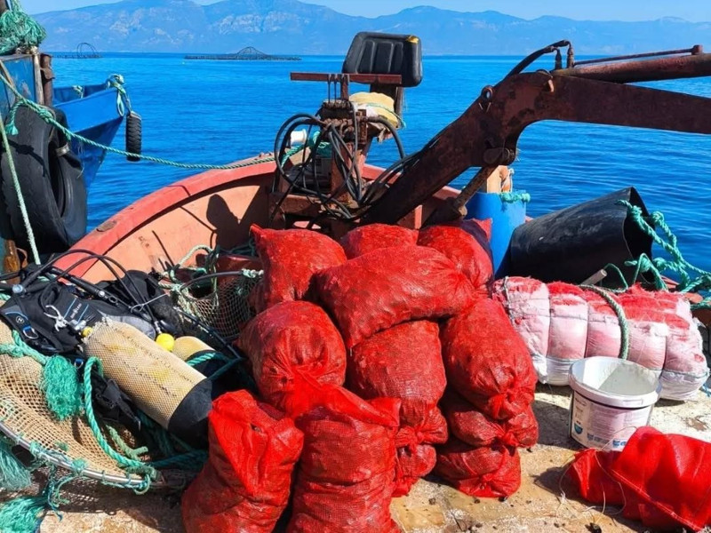 Aydın'da kaçak avcılara ceza yağdı! 600 kilogram deniz mahsulü suya bırakıldı! - Resim: 2