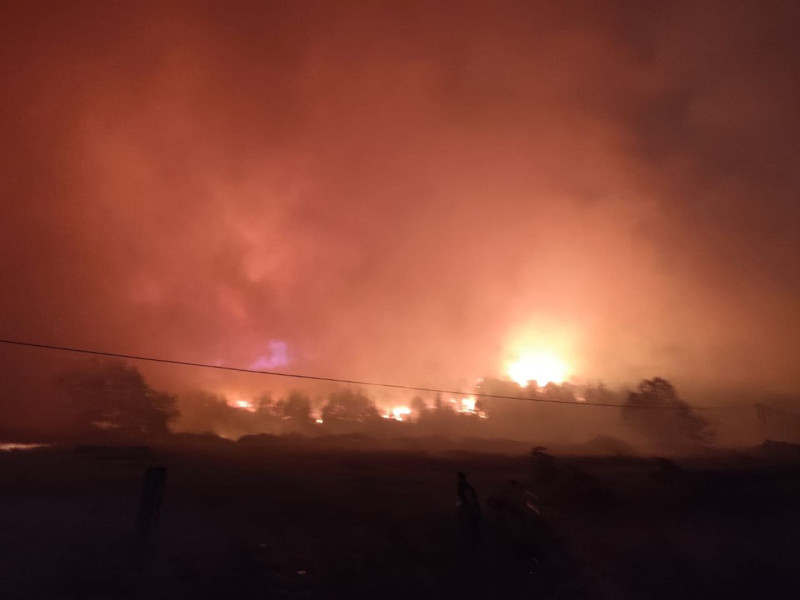 Bursa'da orman yangını! Bölgeye çok sayıda ekip intikal etti - Resim: 1