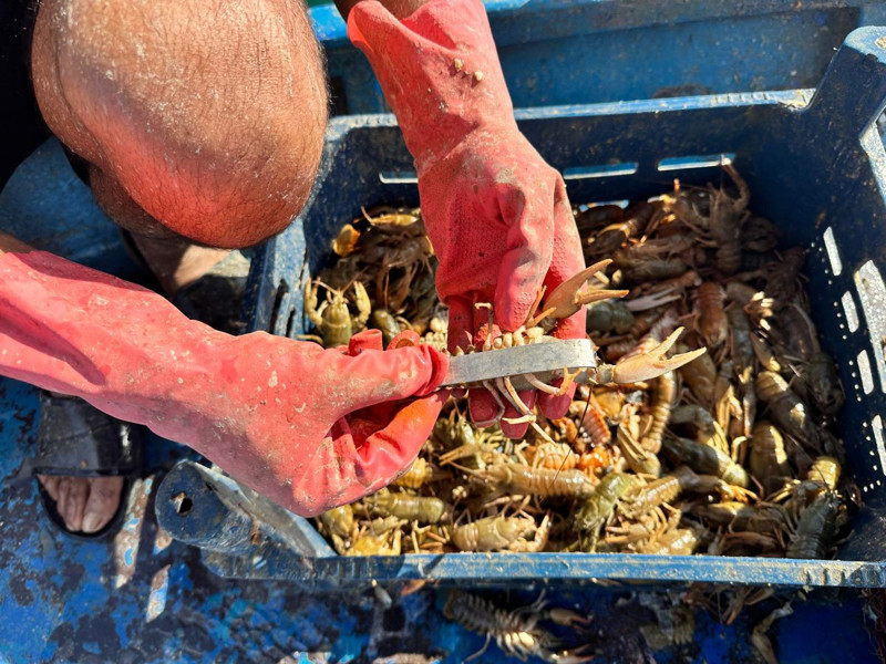 İstanbul’u bırakıp Tunceli'de köyüne döndü! Gölde yeni bir hayat kurdu - Resim: 4