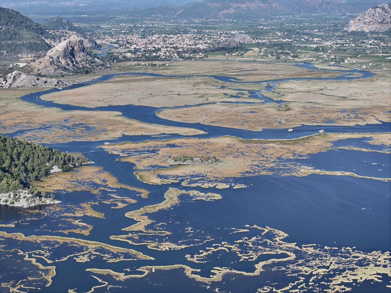 Muğla’nın Dalyan Kanalı ekimde turist akınına uğradı! Labirenti andıran güzellik büyüledi - Resim: 1