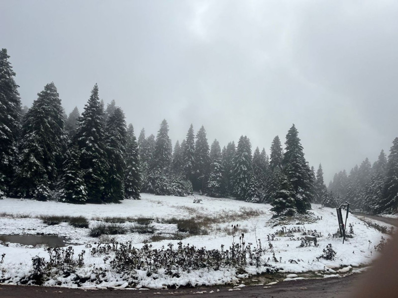 Bolu’nun yüksek kesimlerinde kar etkisini artırdı. Ormanlar beyaz örtüyle kaplandı - Resim: 3