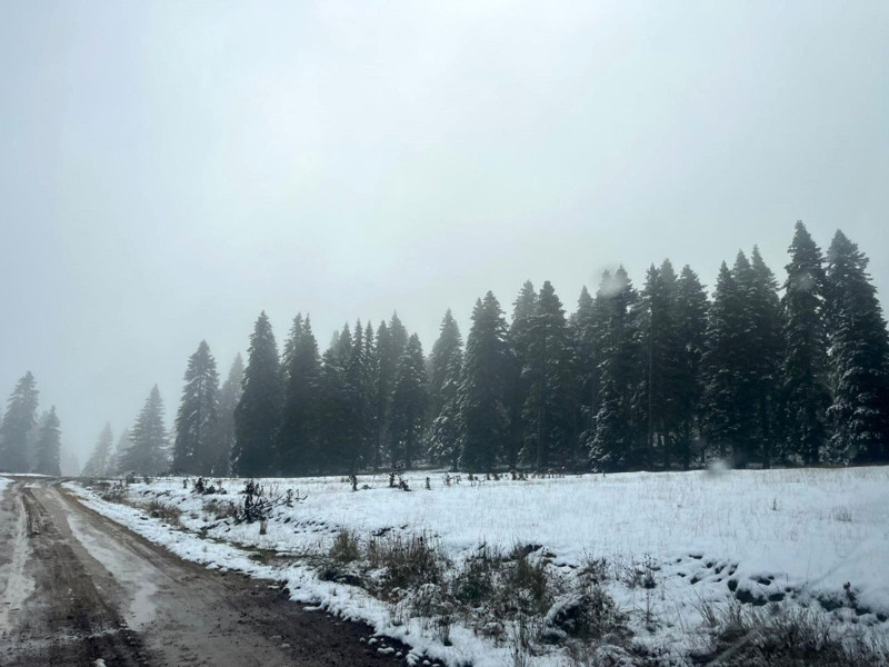 Bolu’nun yüksek kesimlerinde kar etkisini artırdı. Ormanlar beyaz örtüyle kaplandı - Resim: 2