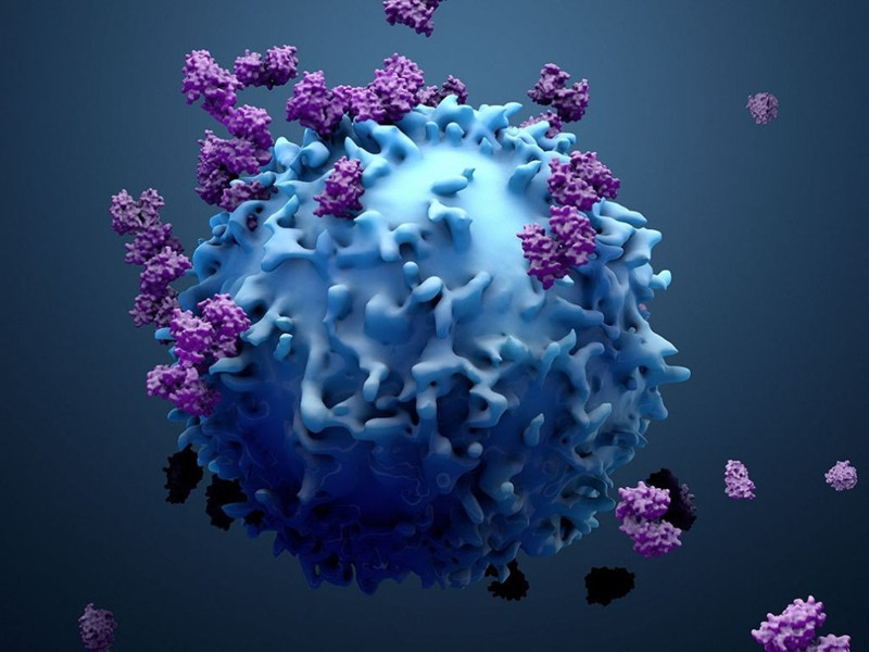 Kan kanseri tedavisinde yeni dönem - Resim: 3