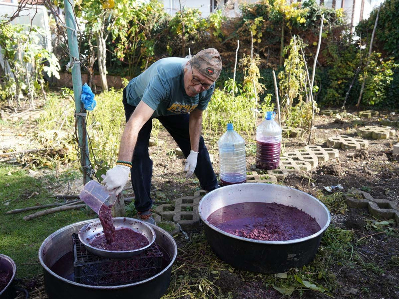 Karadeniz'de topraktan çıkmaya başladı! Kanser hücrelerini 1'er 2'şer vücuttan uzaklaştırıyor - Resim: 2