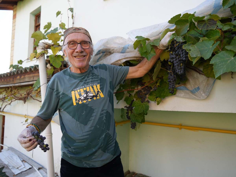 Karadeniz'de topraktan çıkmaya başladı! Kanser hücrelerini 1'er 2'şer vücuttan uzaklaştırıyor - Resim: 3