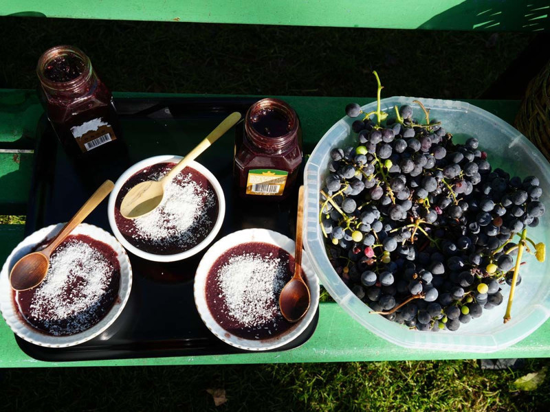 Karadeniz'de topraktan çıkmaya başladı! Kanser hücrelerini 1'er 2'şer vücuttan uzaklaştırıyor - Resim: 6
