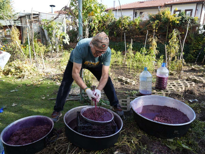 Karadeniz'de topraktan çıkmaya başladı! Kanser hücrelerini 1'er 2'şer vücuttan uzaklaştırıyor - Resim: 7