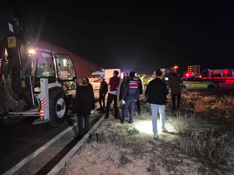 Malatya'da feci olay! Milyonluk yarış tayları çiftlikten kaçtı: 8'i öldü, bazıları kayıp - Resim: 5
