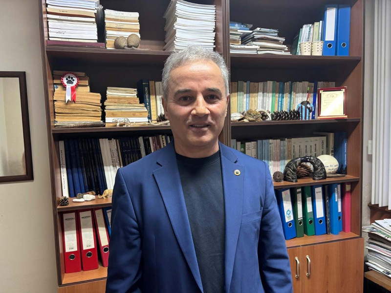 Türkiye'de Ordu, Manisa, Tekirdağ, Ankara için endişelendiren haber! Uzmanlar 2'şer 3'er görülmeleri korkutucu dedi - Resim: 4