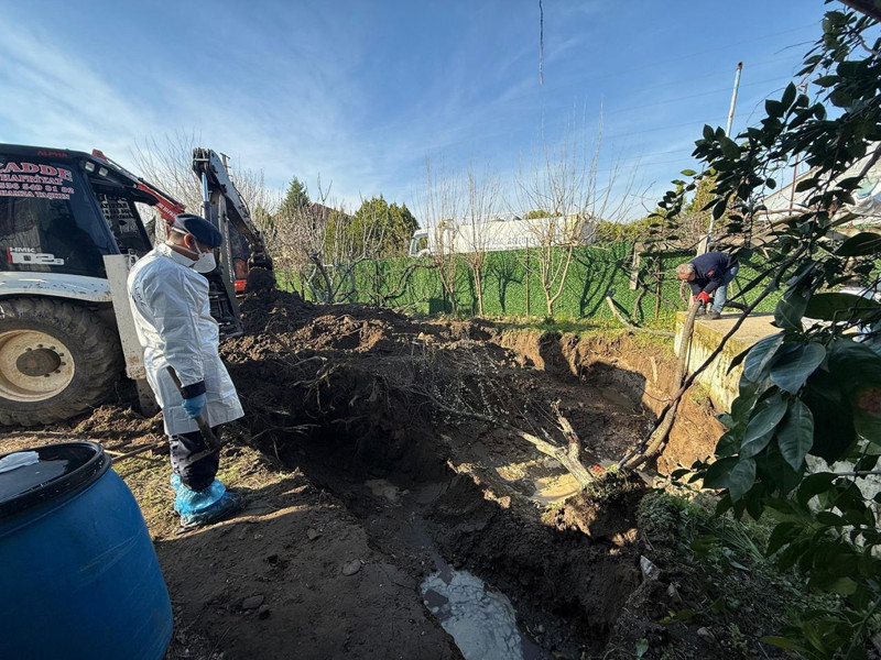 17 yıldır aranıyordu! Korkunç gerçek ortaya çıktı: En yakınındaki isimler gözaltında... - Resim: 5