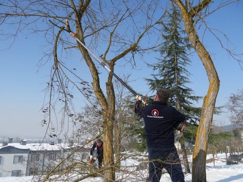 Düzce'de şiddetli kar yağışının ardından hepsi çatır çatır kırıldı... 50 santimetrelik kar yağışından sonra hepsi tek tek yok olmuş - Resim: 1