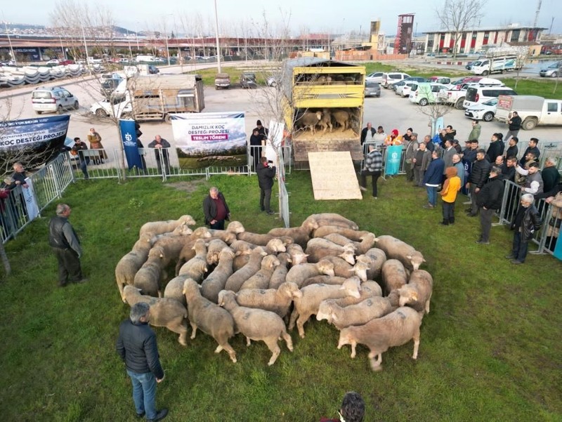 Kocaeli'de 145 baş hayvan, sahiplerine teslim edildi. 145 tanesi gidip 1000'lerceye dönecek - Resim: 3