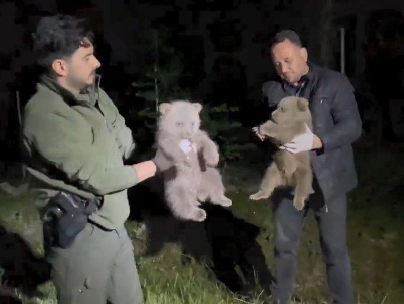 Sinop'ta 2 tanesi doğanın içerisinde yalnız başlarına bulundu... Etraflarına bakan ekipler yanı başlarında hiç kimseyi görmedi - Resim: 5