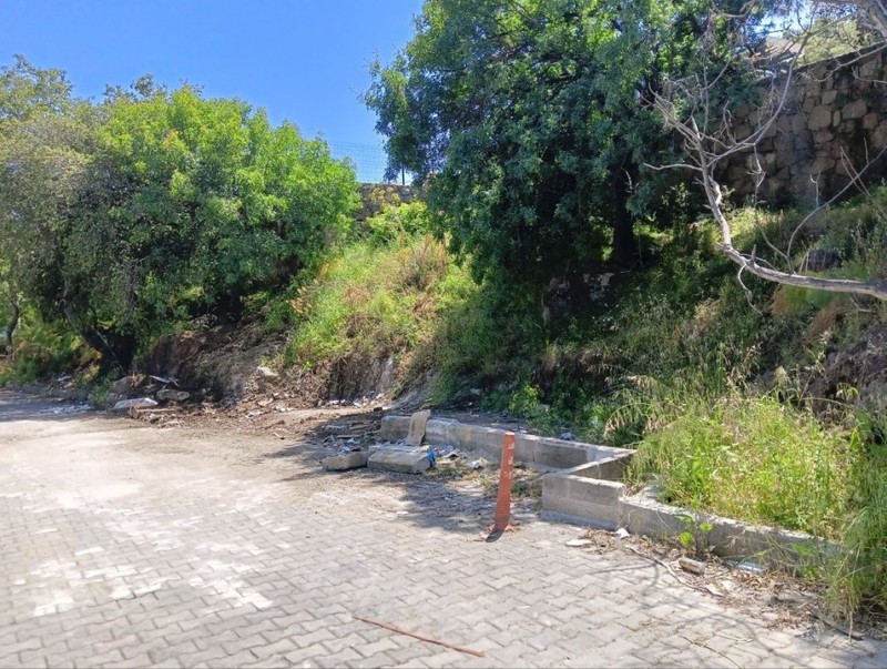 Bodrum'da doğaya bunu yapanlar yandı! 260.000'i artık hazır etmek zorundalar - Resim: 2