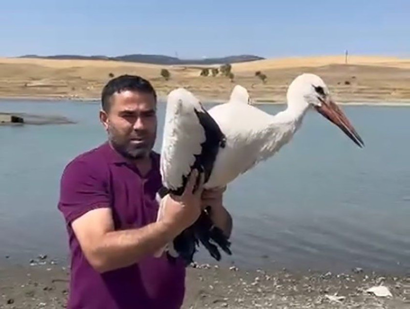 Yozgat’ta 3 ay önce yaralı bulunan leylek tedavisinin ardından doğal yaşamına bırakıldı - Resim: 3