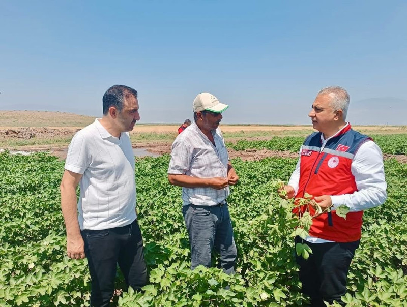 Hatay'da pamuk tarlaları hasada hazırlanıyor, İl Müdürü üreticilerle buluştu - Resim: 5