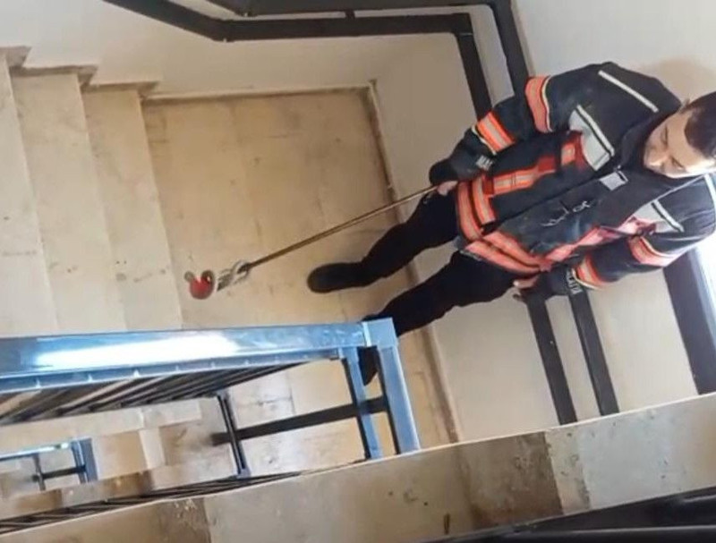 Malatya'da apartmandan çıkarıldı! Tam 1 metre uzunluğundaydı - Resim: 2
