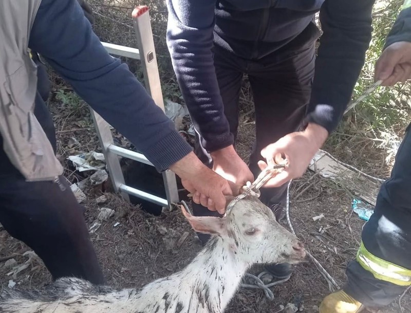 Yalova'da bahçedeki 3 metrelik rögar kuyusundan acı acı bağırışlar geldiğini duyan resmi ekipler kuyuya inince karşısında 1 tek onu gördü - Resim: 4