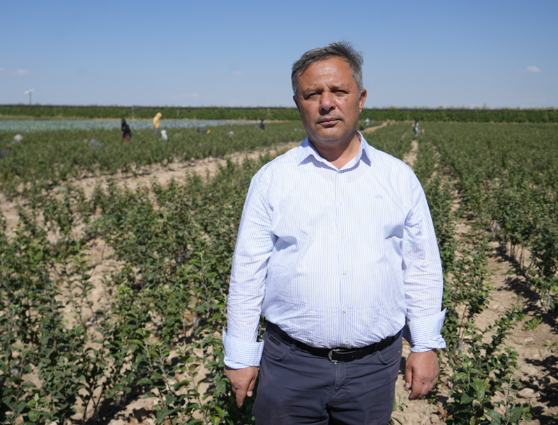 Niğde’de şiddetli don nedeniyle elma üretimi yüzde 95 düştü, ihracat olumsuz etkilenecek - Resim: 2