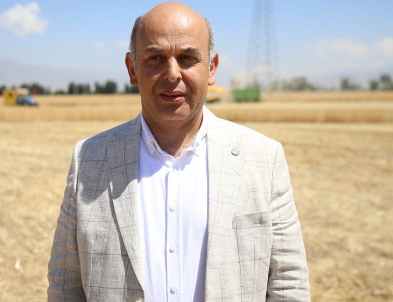 Atatürk Üniversitesine ait arazide kuraklığa dayanıklı buğday hasadı başladı - Resim: 4