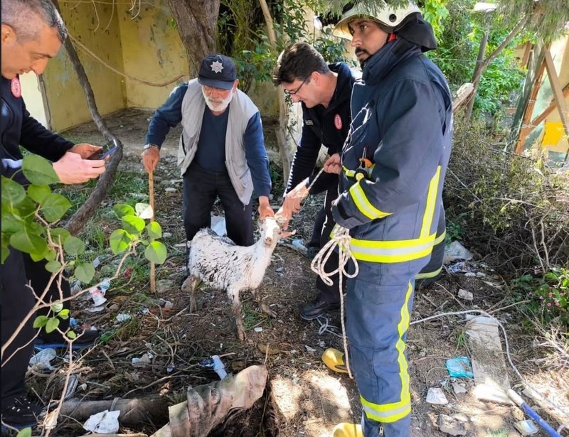 Yalova'da bahçedeki 3 metrelik rögar kuyusundan acı acı bağırışlar geldiğini duyan resmi ekipler kuyuya inince karşısında 1 tek onu gördü - Resim: 3