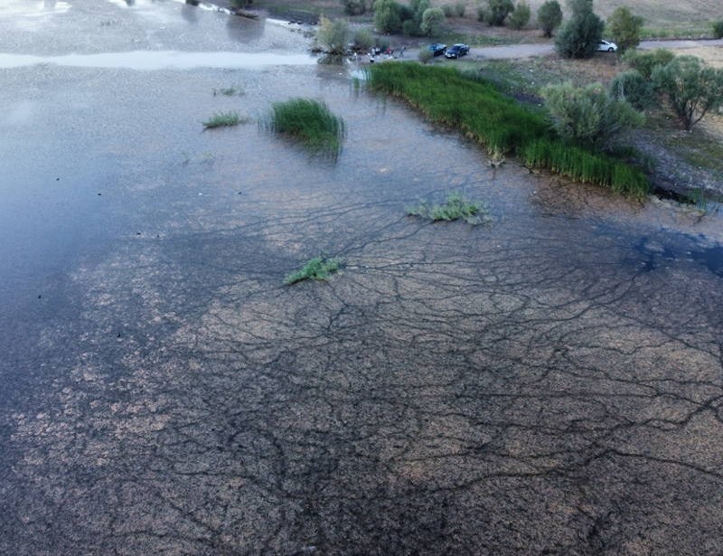 Çorum Alaca’daki İbrahimköy Göleti yosun ve atıklarla doldu, vatandaşlar tepkili - Resim: 5