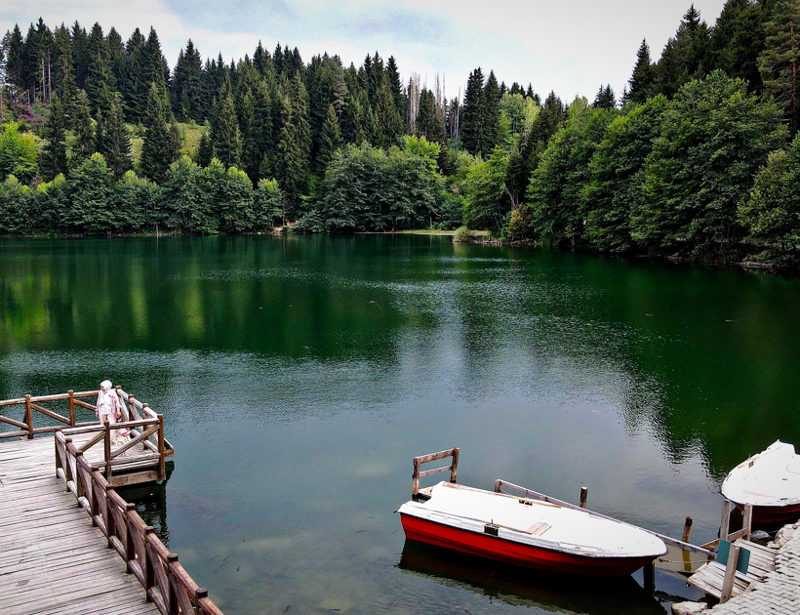 Artvin Şavşat Karagöl-Sahara Milli Parkı doğal güzellikleriyle hafta sonunda ziyaretçilerin akınına uğradı - Resim: 2