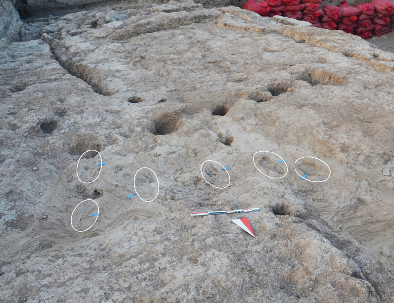 Hatay'da 7 bin 200 yıllık gizemli ayak izleri keşfedildi! 5 kişiye ait olduğu düşünülüyor - Resim: 1