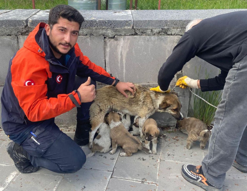 Kars'ta havalandırma boşluğuna düşen 6 köpek yavrusu titizlikle kurtarıldı - Resim: 5