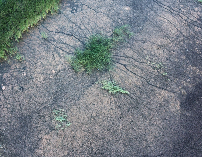 Çorum Alaca’daki İbrahimköy Göleti yosun ve atıklarla doldu, vatandaşlar tepkili - Resim: 3