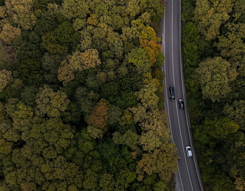 Bolu'da sonbahar renkleri ormanlara hakim oldu! Ortaya unutulmaz görüntüler çıktı - Resim: 3