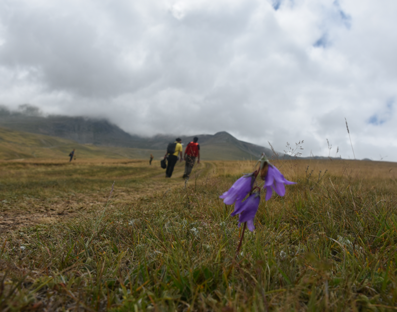 Gümüşhane’de doğa tutkunları 10 kilometrelik yürüyüşle Çakırgöl’e vardı - Resim: 3