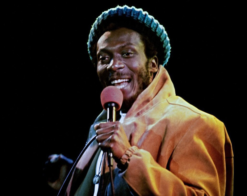 Zatürre ile mücadele ediyordu! Ünlü şarkıcı hayatını kaybetti - Resim: 1