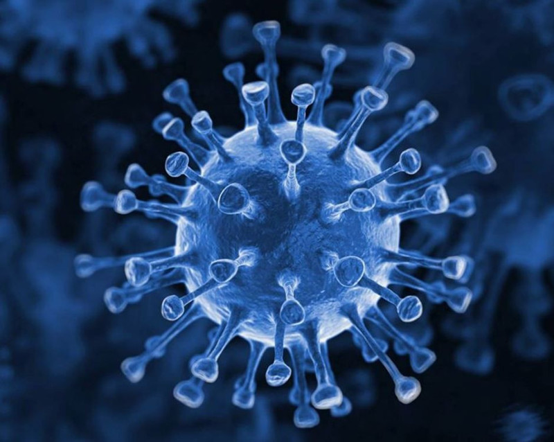 DSÖ korkutan virüs hakkında uyardı! Hızla yayılıyor! 42 ülkede 3 bin vaka! - Resim: 2