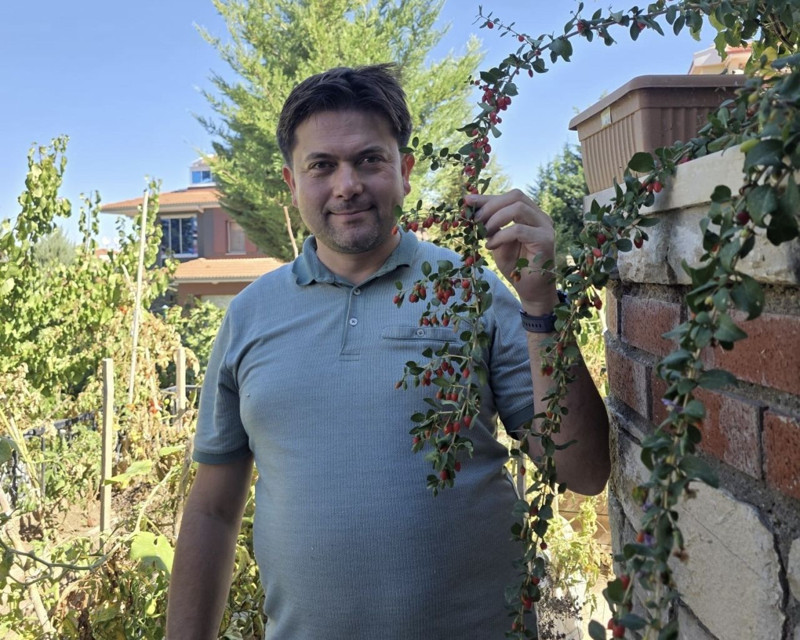 Van'da görevli doktor tarafından yetiştirildi. Bölge halkı da ilginç karşıladı - Resim: 1