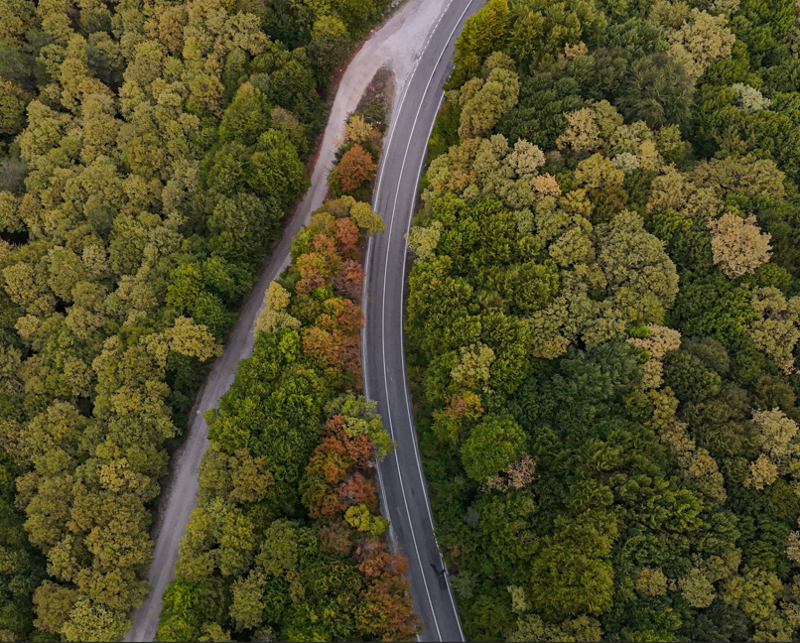 Bolu'da sonbahar renkleri ormanlara hakim oldu! Ortaya unutulmaz görüntüler çıktı - Resim: 4