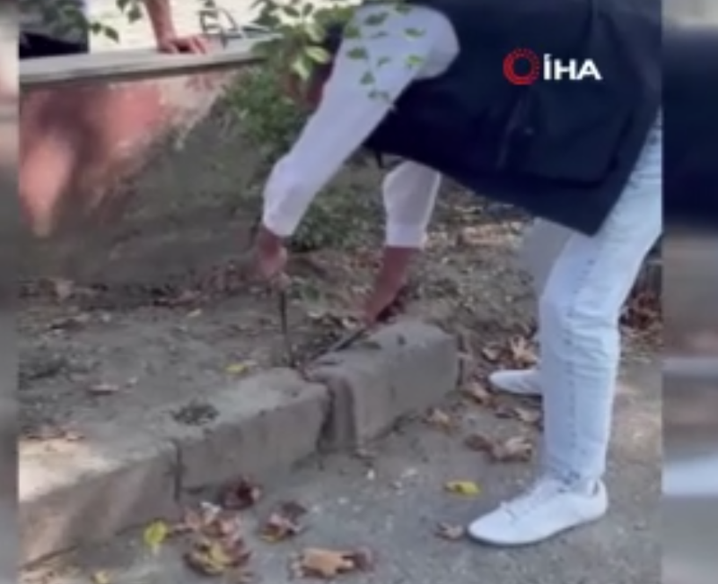 Zonguldak’ta kaldırım taşlarının arasına sıkışan canlı vatandaşlar tarafından kurtarıldı - Resim: 2