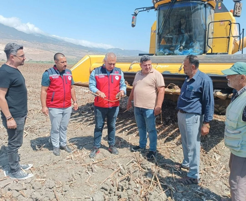 Hatay’da ayçiçeği hasadı başladı, İl Tarım Müdürü üreticilerin taleplerini dinledi - Resim: 2