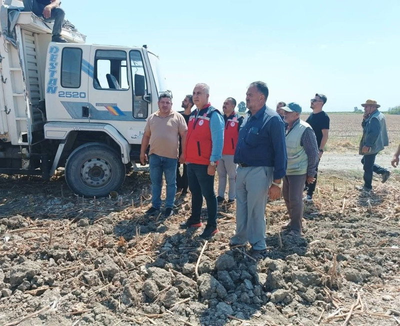 Hatay’da ayçiçeği hasadı başladı, İl Tarım Müdürü üreticilerin taleplerini dinledi - Resim: 1