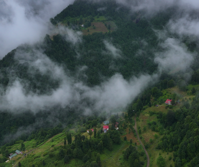 Trabzon’un en yakın yaylası Hıdırnebi, sisin oluşturduğu eşsiz manzarasıyla doğaseverleri ağırlıyor - Resim: 3