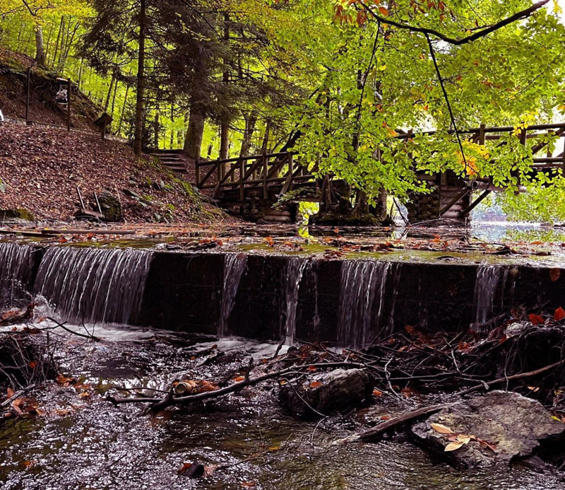 Bolu’ya sonbahar geldi, Yedigöller tabloya döndü! Dronla kaydedilen manzara mest etti - Resim: 1
