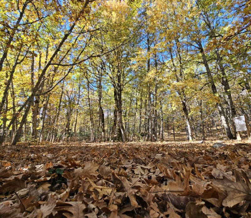 Türkiye'de buraya izinsiz sakın 1 adım bile atmayın! 557 bin 212 TL cezası var - Resim: 4